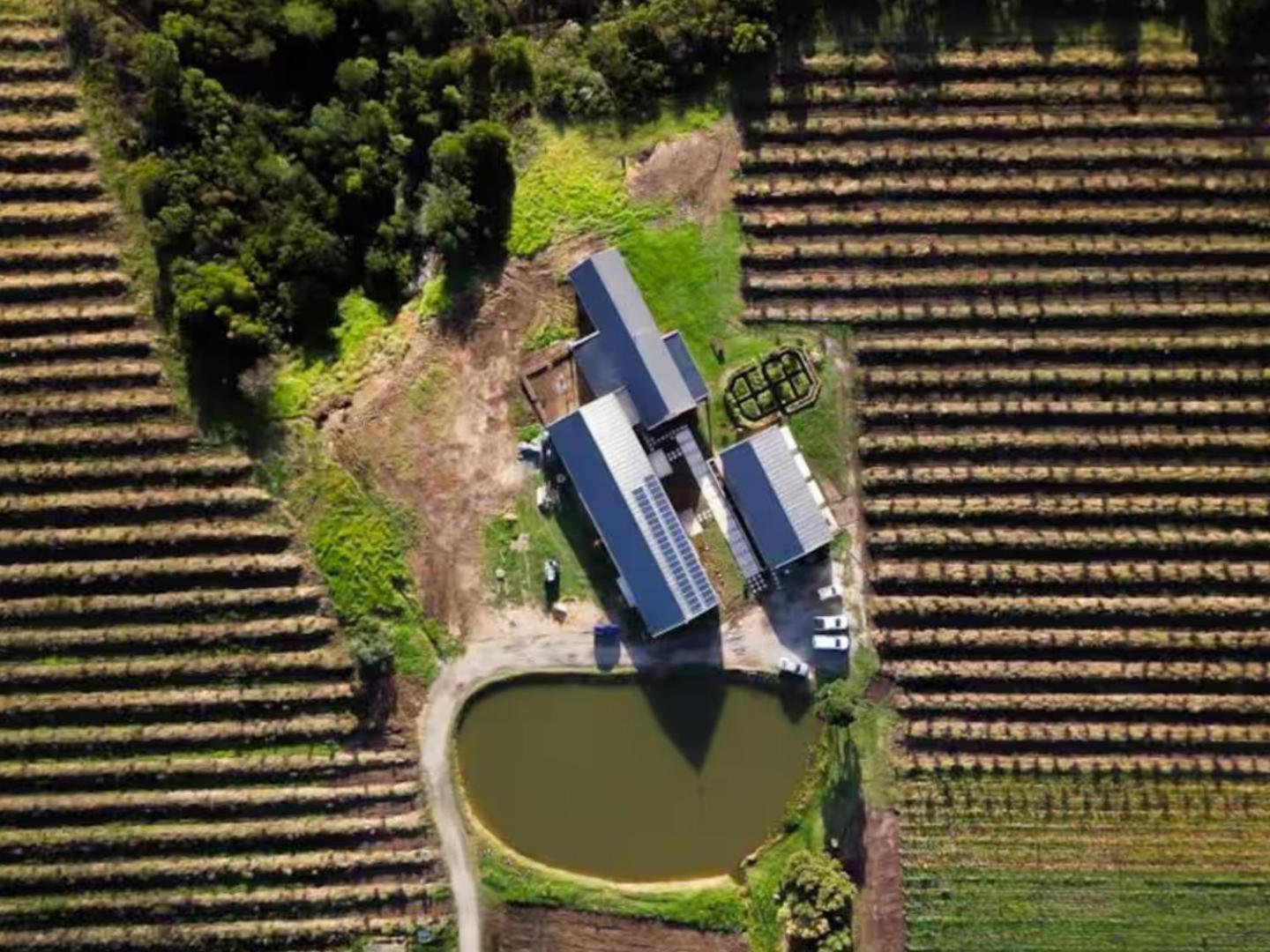 20 Good Summers Farm Stay The Crags Exterior photo